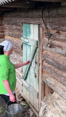 Викидаємо гній з-під корови 🐄 Такі щоденні сільські будні в Карпатах 🌲💪 #Карпати #СільськеЖиття #Село #Будні #Гори     