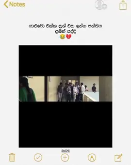 මෙන්ශන් කරන්න 😂💔 #fyp #fypシ゚viral #whatsappstatus #bunny#1000000views 