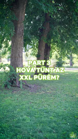 Hogy fogja Bence ebből kivágni magát? 😬 Kövessetek minket a folytatásért! ✌️ #topjoy #xxl #püré