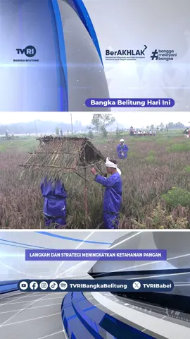 LANGKAH DAN STRATEGI MENINGKATKAN KETAHANAN PANGAN #berita #news #TVRI #TVRINASIONAL #PUNYAKITESEMUE