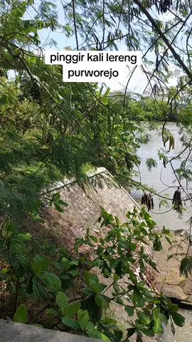 spots sejuta umat pinggir  kali lereng purworejo #spotsderbang #spotsikanmuara #spotsviral #purworejo 