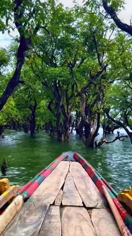 #bdtiktokofficial🇧🇩tiktokboangladesh😍😍😍🇧🇩 #vairal #foryou #tiktokofficial @💫 অশান্ত মন 💫 @Osman Khaja 