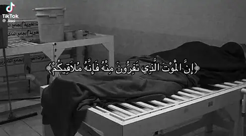 #قران_كريم 