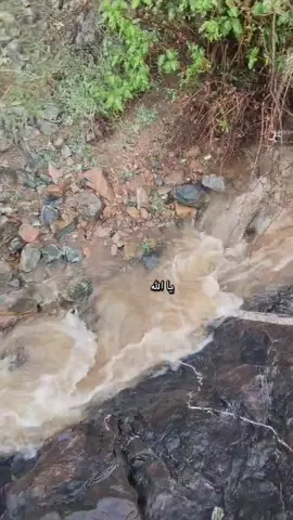 #المملكة_العربية_السعودية🇸🇦 