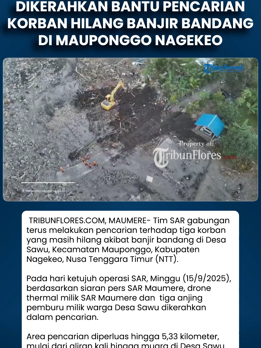 Tiga Anjing Pemburu Dikerahkan Bantu Pencarian Korban Hilang Banjir Bandang di Mauponggo Nagekeo Download aplikasi berita TribunX di Play Store atau App Store untuk dapatkan pengalaman baru. TRIBUNFLORES.COM, MAUMERE- Tim SAR gabungan terus melakukan pencarian terhadap tiga korban yang masih hilang akibat banjir bandang di Desa Sawu, Kecamatan Mauponggo, Kabupaten Nagekeo, Nusa Tenggara Timur (NTT). Pada hari ketujuh operasi SAR, Minggu (15/9/2025), berdasarkan siaran pers SAR Maumere, drone thermal milik SAR Maumere dan  tiga anjing pemburu milik warga Desa Sawu dikerahkan dalam pencarian. Area pencarian diperluas hingga 5,33 kilometer, mulai dari aliran kali hingga muara di Desa Sawu. Namun, hasil pencarian nihil. Artikel ini telah tayang di Tribunflores.com dengan judul Tiga Anjing Pemburu Dikerahkan Bantu Pencarian Korban Hilang Banjir Bandang di Mauponggo Nagekeo, https://flores.tribunnews.com/nagekeo/51281/tiga-anjing-pemburu-dikerahkan-bantu-pencarian-korban-hilang-banjir-bandang-di-mauponggo-nagekeo. Video lengkapnya bisa ditonton di YouTube TribunFlores.com dengan judul Tiga Anjing Pemburu Dikerahkan Bantu Pencarian Korban Hilang Banjir Bandang di Mauponggo Nagekeo, https://youtu.be/DPGRr4BzzjY Penulis Berita: Cristin Adal Editor Berita: Cristin Adal Editor Video: Ian Taopan #banjirnagekeo #mbay #tribunflorescom  #TribunNews #tribunFlores  #viral #video  #trending #beritahariini  #Floresupdate  #beritaFloreshariini #beritaterkini  #beritanasional  #warganet #hottopic  #Viralnews #beritaviral  #Shorts