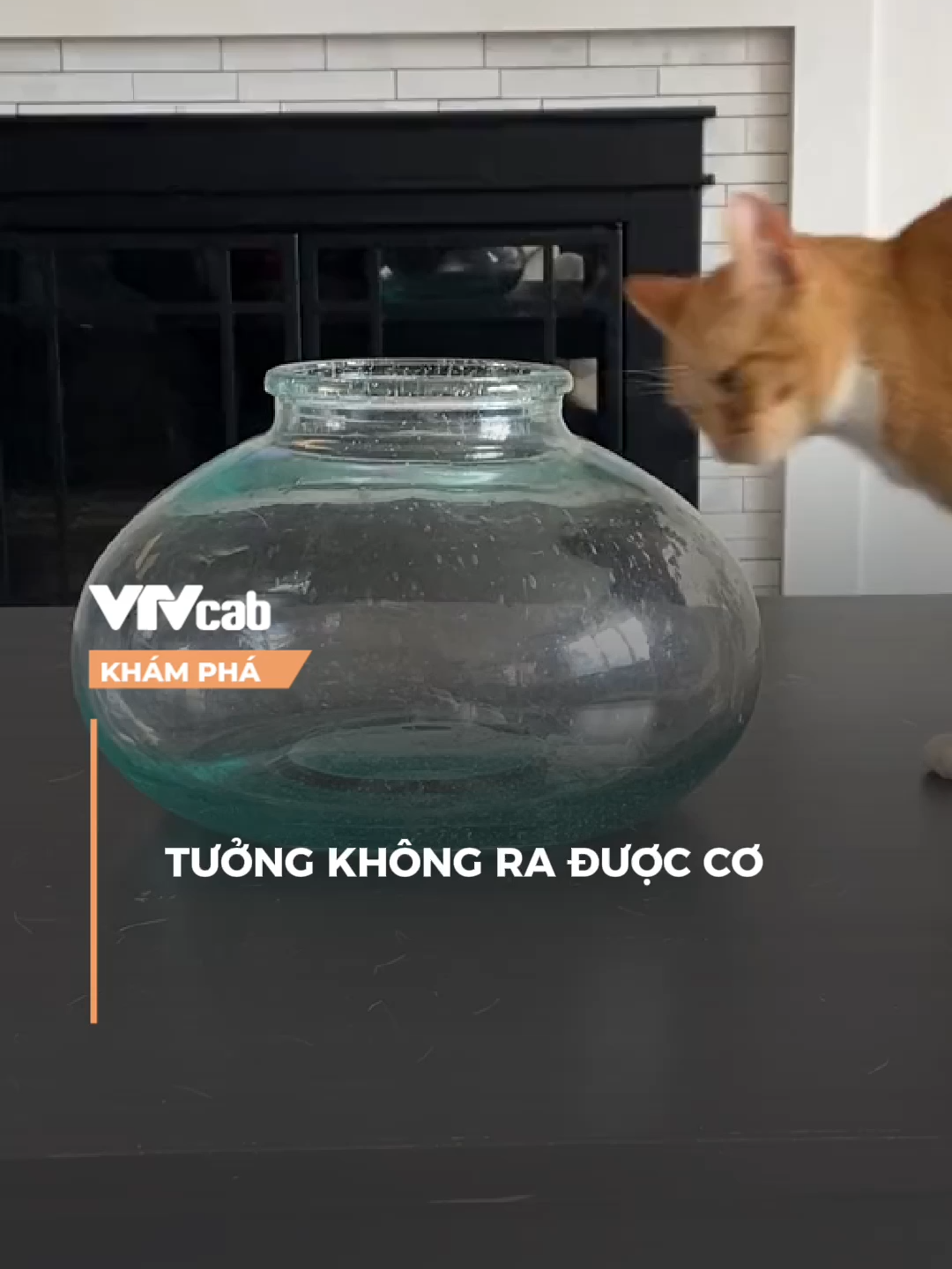 tưởng không chui ra được cơ :)))) #vtvcab #khampha #vtvcabkhampha #online #nvh