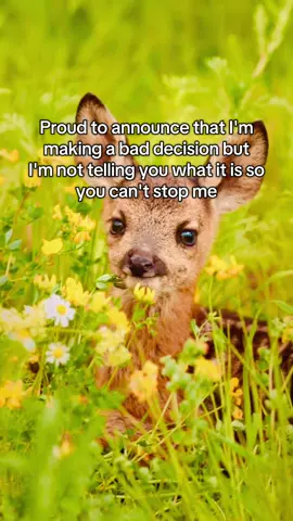 The question is do I even know yet? #spirituality #crashout #hopecore #deer #situationship 