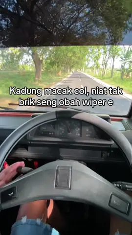🤭#elsapek #l300 #brikk #sakwotene 
