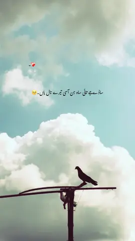 ساڈے جے تائی ساہ ہم اسی تیرے نال ہاں۔🥺❤️‍🩹🍁🦋 #foryou #foryourpages #poetry #aesthatic #poetrystatus @𝙝𝙞𝙨 𝙦𝙪𝙚𝙚𝙣<3🌸🤍 