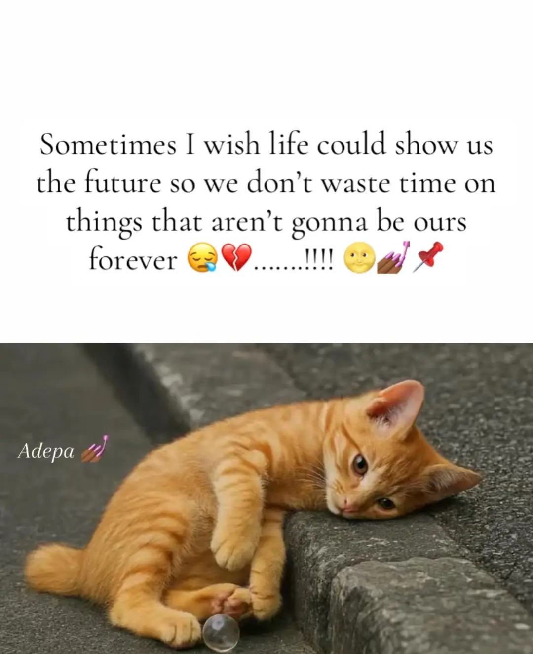 #fypシ゚viral🖤tiktok☆♡🦋myvideo #foryoupage❤️❤️ 