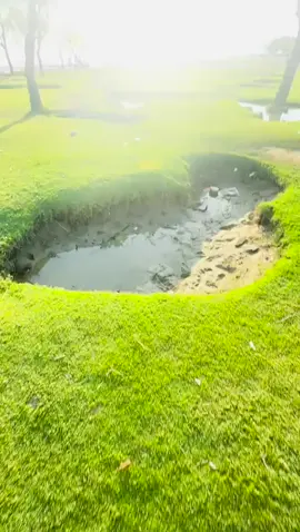😅🥲