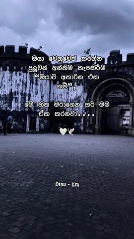 ඔයා වෙනුවෙන් කරන්න පුලුවන් අන්තිම කැපකිරීම “ඔයාව අතාරින එක නම්”, මේ හිත මරාගෙන හරි මම ඒක කරනවා.... 🤍🕊