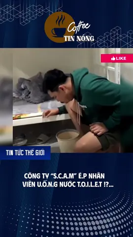Đi làm kiếm sống… thành n.ạ.n  n.h.â.n  t.r.a t.ấ.n  #tintuc #cafetinnong #fyp #fyp #xuhuong 