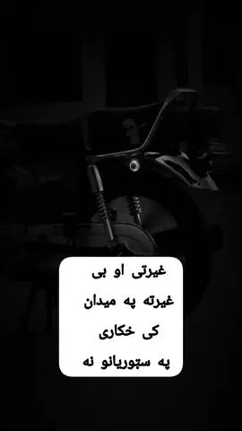 #🐺 