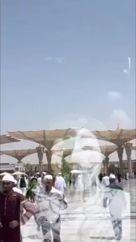 ANTARA MEKAH MADINAH #palestine #freepalestine #MEKAH #MADINAH #fyppppppppppppppppppppppp 