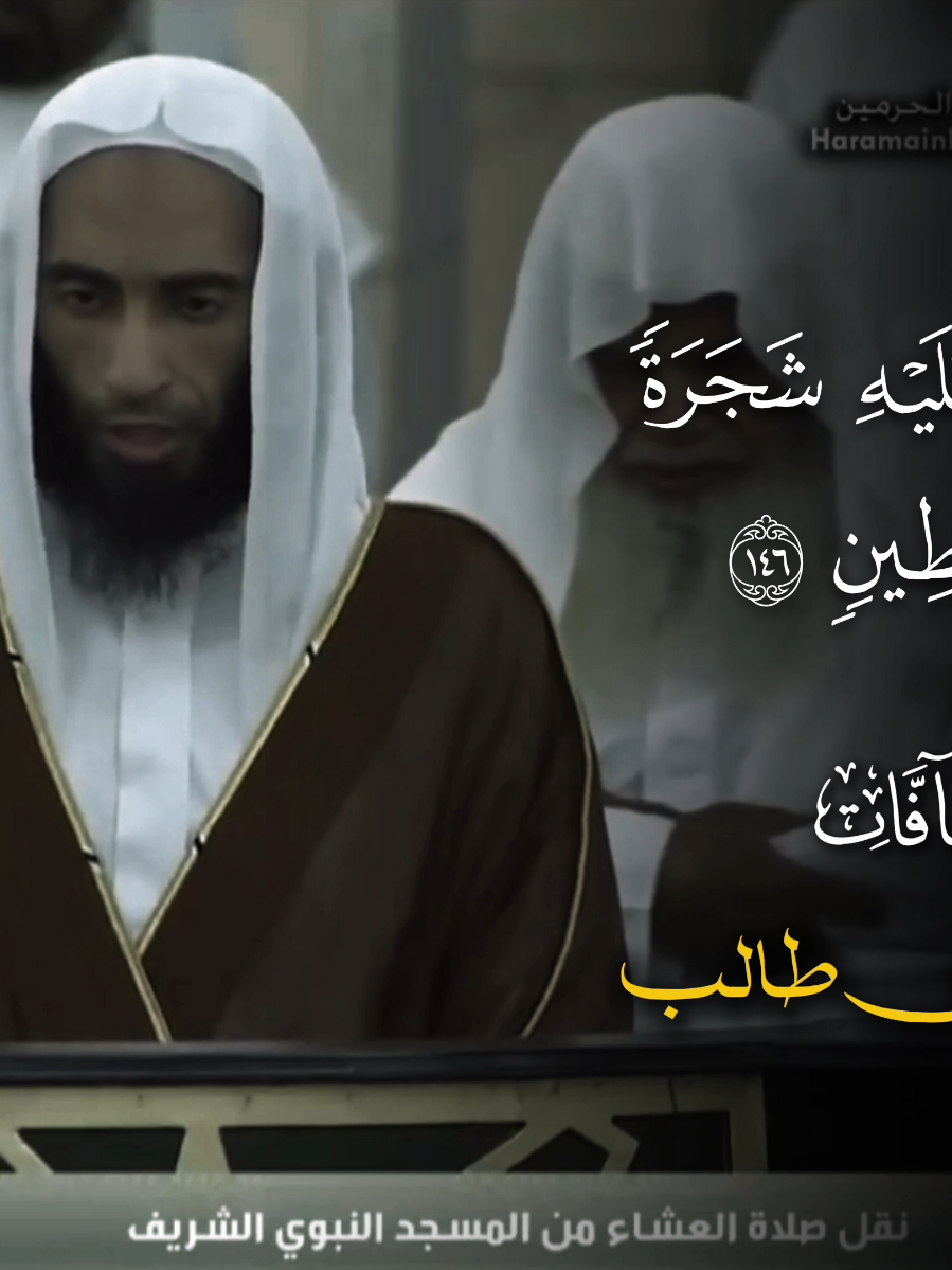 أحمد بن طالب - سورة : الصافات  #أحمد_بن_طالب #سورة_الصافات  #quran #سبحان_الله_وبحمده_سبحان_الله_العظيم 