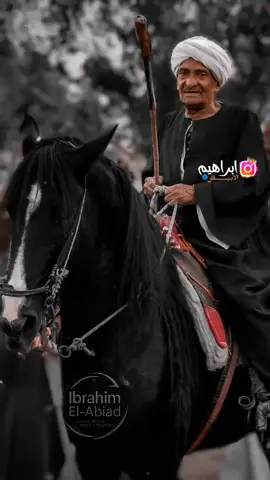 وهتتمرجحو 