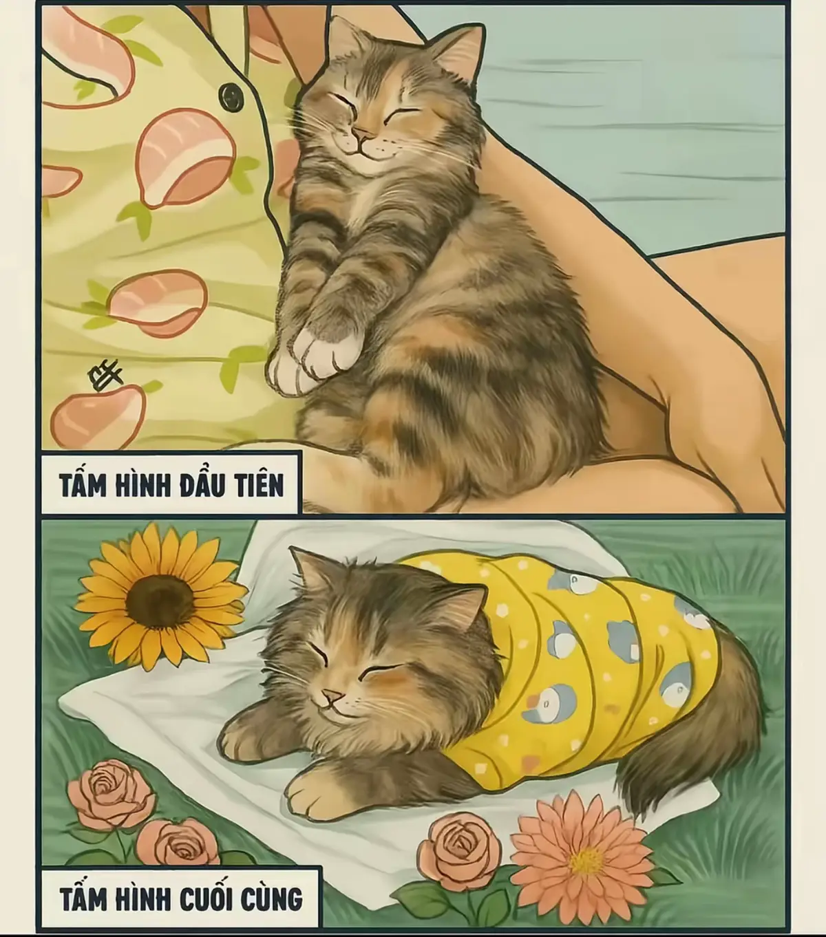 Lần cuối cùng...
