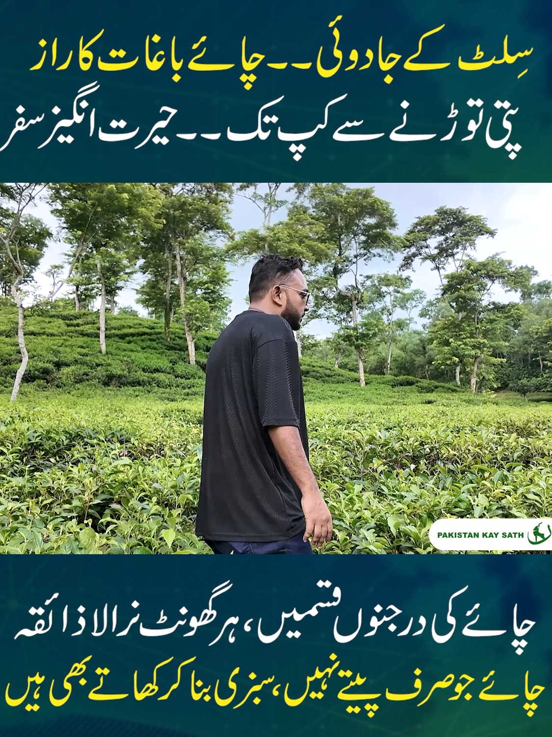 Sylhet Tea Gardens | Magical Journey from Leaf to Cup” #SylhetTea #TeaGardens #BangladeshTravel #SylhetValley #TeaLovers #BangladeshTea #ChaiTime #GreenTea #BlackTea #TeaCulture #TravelBangladesh #SylhetBeauty #TeaProcessing #NatureBangladesh #ChaiLovers