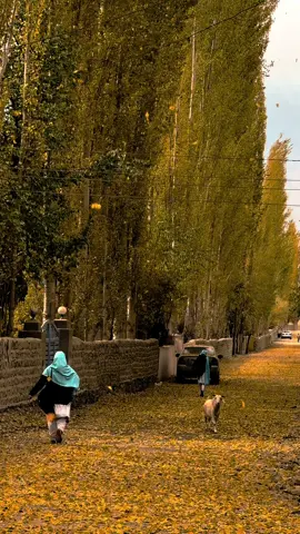 Autumn season in skardu  𝗗𝗠 𝗳𝗼𝗿 𝗖𝘂𝘀𝘁𝗼𝗺𝗶𝘇𝗲𝗱 𝗮𝗻𝗱 𝗽𝗿𝗶𝘃𝗮𝘁𝗲 𝗧𝗿𝗶𝗽 𝘁𝗼 𝗣𝗮𝗸𝗶𝘀𝘁𝗮𝗻 🇵🇰  𝟓,𝟔,𝟕,𝟖,𝐝𝐚𝐲𝐬 𝐏𝐚𝐜𝐤𝐚𝐠𝐞𝐬 𝐀𝐯𝐚𝐢𝐥𝐚𝐛𝐥𝐞. We will design your tours according to your demands.  Families, Couples & groups can join us. 𝐂𝐚𝐭𝐞𝐠𝐨𝐫𝐢𝐞𝐬 𝐨𝐟 𝐚𝐯𝐚𝐢𝐥𝐚𝐛𝐥𝐞 𝐏𝐚𝐜𝐤𝐚𝐠𝐞𝐬: (𝐀)𝐒𝐭𝐚𝐧𝐝𝐚𝐫𝐝 𝐏𝐚𝐜𝐤𝐚𝐠𝐞 (𝐁)𝐃𝐞𝐥𝐮𝐱𝐞 𝐏𝐚𝐜𝐤𝐚𝐠𝐞 (𝐂)𝐏𝐫𝐞𝐦𝐢𝐮𝐦 𝐏𝐚𝐜𝐤𝐚𝐠𝐞 Same packages available for 𝐇𝐮𝐧𝐳𝐚 site as well. 5 Days & 4 nights by air (customized and private)trip to Skardu valley. 𝗪𝗵𝗮𝘁 𝘁𝗵𝗲 𝗣𝗮𝗰𝗸𝗮𝗴𝗲 𝗶𝗻𝗰𝗹𝘂𝗱𝗲𝘀? 🔹Return tickets Islamabad-skardu-Islamabad 🔹Hotel Accommodation 🔹Private transport (Car/Prado) for sightseeing in Skardu & surroundings  🔹Breakfast  🔹Local Tour Guide  🔹Fuel expenses 🔹jeep 🔹photography  𝗠𝗮𝗶𝗻 𝗔𝘁𝘁𝗿𝗮𝗰𝘁𝗶𝗼𝗻𝘀 𝘁𝗼 𝗘𝘅𝗽𝗹𝗼𝗿𝗲 𝐃𝐚𝐲 𝟎𝟏 Kachura valley  Shangri-La lake  Upper kachura lake Xhoq valley 𝐃𝐚𝐲 𝟎𝟐 Shigar fort  Blind lake  Sarfaranga cold desert Explore Skardu Bazar  𝐃𝐚𝐲 𝟎𝟑 Kharmang valley  Manthokha waterfall  𝐃𝐚𝐲 𝟎𝟒 Satpara lake Satpara valley  Deosai top Bara pani Kala pani Shosar lake 𝐃𝐚𝐲 𝟎𝟓  Back to home 𝗦𝘁𝗮𝗻𝗱𝗮𝗿𝗱 𝗣𝗮𝗰𝗸𝗮𝗴𝗲  𝗙𝗿𝗼𝗺 𝗜𝘀𝗹𝗮𝗺𝗮𝗯𝗮𝗱 110,000/ per head  220,000/ couple 𝗙𝗼𝗿 𝗕𝗼𝗼𝗸𝗶𝗻𝗴 𝗖𝗮𝗹𝗹 / 𝗪𝗵𝗮𝘁𝘀𝗔𝗽𝗽: +923425060424 +92355-4776234 #foryou #foryoupage #viral #gbtours #incrediblegb                           
