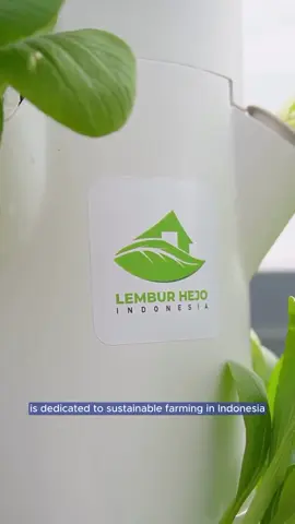 Lembur Hejo Indonesia solusi pertanian Indonesia. . 📍Lembur Hejo . #fyp #hidroponik #lemburhejoindonesia #indogritech2025 #smartfarming 