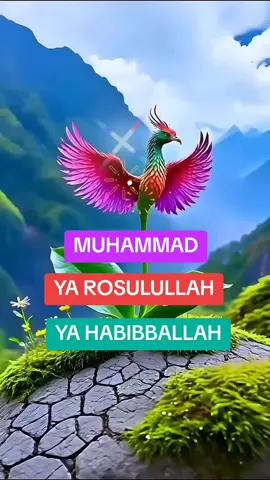 #Bismillahirrohmanirrohiim  #Yarosulullaah #Yahabibballaah 