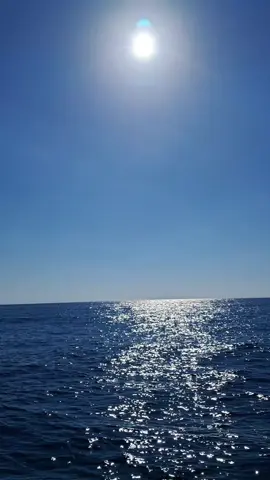 عيناك ليالٍ صيفيه ورؤىً وقصائد ورديه عيناك ليالٍ صيفيه ورؤىً وقصائد ورديه ورسائل حبٍ هاربهٌ من كتبِ الشوقِ المنسيهْ ورسائل حبٍ هاربهٌ من كتبِ الشوقِ المنسيهْ عيناك ليالٍ صيفيه ورؤىً ورؤىً ورؤىً وقصائد ورديه ورؤىً ورؤىً ورؤىً وقصائد ورديه عيناك ليالٍ صيفيه ورؤىً وقصائد ورديه عيناك ليالٍ صيفيه ورؤىً وقصائد ورديه عيناك ليالٍ صيفيه عيناك ليالٍ صيفيه من انت؟ من انت؟ زرعت بنقر خطاك الدرب وروداً جوريه من انت؟ كالضوء مررت، كخفق العطر، كهزج اغانٍ شعبيه من انت؟ من انت؟ زرعت بنقر خطاك الدرب وروداً جوريه من انت؟ كالضوء مررت، كخفق العطر، كهزج اغانٍ شعبيه ومضيت شراعاً يحملني كقصيده شمس بحريه ومضيت شراعاً يحملني كقصيده شمس بحريه لوعودٍ راحت ترسمها احلام فتاه شرقيه لوعودٍ راحت ترسمها احلام فتاه شرقيه احلام فتاه شرقيه عيناك ليالٍ صيفيه ورؤىً ورؤىً ورؤىً وقصائد ورديه ورؤىً ورؤىً ورؤىً وقصائد ورديه عيناك ليالٍ صيفيه ورؤىً وقصائد ورديه يا حبيبي عيناك ليالٍ صيفيه حبيبي ورؤىً وقصائد ورديه عيناك ليالٍ صيفيه عيناك ليالٍ صيفيه من انت؟ من انت؟ وسحرٌ في عينيك يزفُّ العمر لامنيه لكانك من قمرٍ تاتي، من نجمه صبحٍ ذهبيه من انت؟ من انت؟ وسحرٌ في عينيك يزفُّ العمر لامنيه لكانك من قمرٍ تاتي، من نجمه صبحٍ ذهبيه من ارضٍ فيها شمس الحب تعانق وجه الحريه من ارضٍ فيها شمس الحب تعانق وجه الحريه وانا في العمر مسافره، ومعي عيناك واغنيه وانا في العمر مسافره، ومعي عيناك واغنيه ومعي عيناك واغنيه عيناك ليالٍ صيفيه ورؤىً ورؤىً ورؤىً وقصائد ورديه ورؤىً ورؤىً ورؤىً وقصائد ورديه عيناك ليالٍ صيفيه ورؤىً وقصائد ورديه عيناك ليالٍ صيفيه حبيبي ورؤىً وقصائد ورديه يا حبيبي عيناك ليالٍ صيفيه عيناك ليالٍ صيفيه عيناك ليالٍ... صيفيه🎶♥️👑 @Magida El Roumi  . . . #ماجدة_الرومي #عيناك_ليال_صيفية #Sing_Oldies #اعادة_النشر🔃 #page_old_songs 