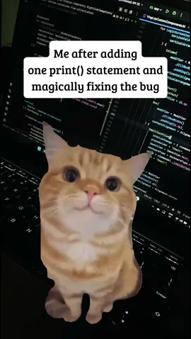 Debugging magic > actual logic #CodingLife #DevHumor #Heisenbug #BugFix #ProgrammerLife #TechHumor #Debugging #SoftwareEngineer #CodeLife #ProgrammerProblems #gentlent #cat #TechTok #DevTok