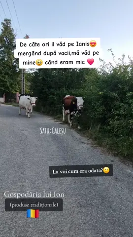 #viatalasat #bunicii #vacute🐮💝 #videoviral #Argeș 