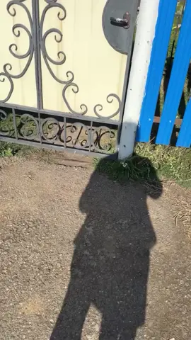 questa mamma va ogni giorno al cimitero per fare visita a suo figlio...gli scrive un pensiero sul quaderno...prega...il dolore è insopportabile...gli porta dei regali ogni giorno...questa mamma per non cadere nell'abisso più profondo esce,parla con gli amici si veste bene perché il figlio gli aveva detto alla mamma di essere felice per lui🙏😢❤️