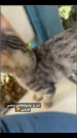 ❤️💫. #slemani #baxigshte #سلێمانی #foryou #active #fyp #kurdistan #trending #viral #xyzbca 