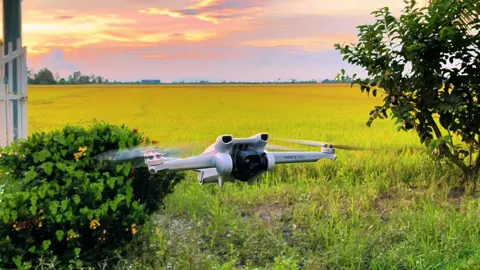 Cảnh từ flaycam 🥰🌾#vinhthanhcantho🌾 #mientay #djimini3 