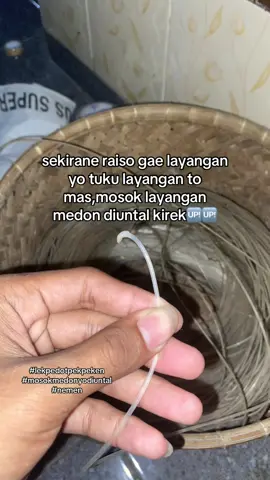 pegon fypne diuntal wong #layangan #layangantulungagung #pelayangtulungagung 
