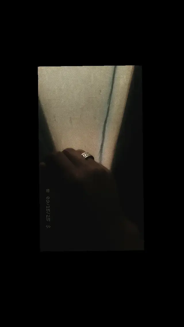 🕊️