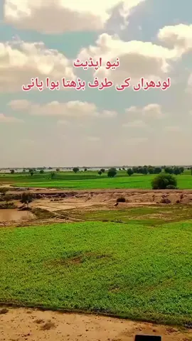 #duet with @🎤M JAVED RAHI🎤🇵🇰 #دریائےستلج۔بہاولپور۔کی۔صورتحال 