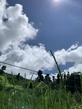 Fir bhi mei tumeh chata rahunga.