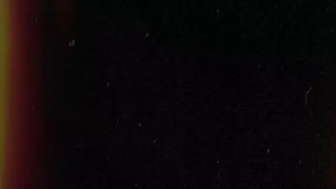 #CapCut 