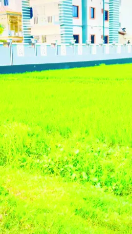 #yyyyyyyyyyyyyyyyyyyyyyyyyyyyyy #foryou  @👑 বাঁশখালীর 👑 
