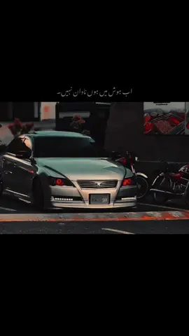 اب ہوش میں ہوں نادان نہیں۔🥹🥀#1millionaudition #aesthetic #foryou #poetrystatus #foryoupage 
