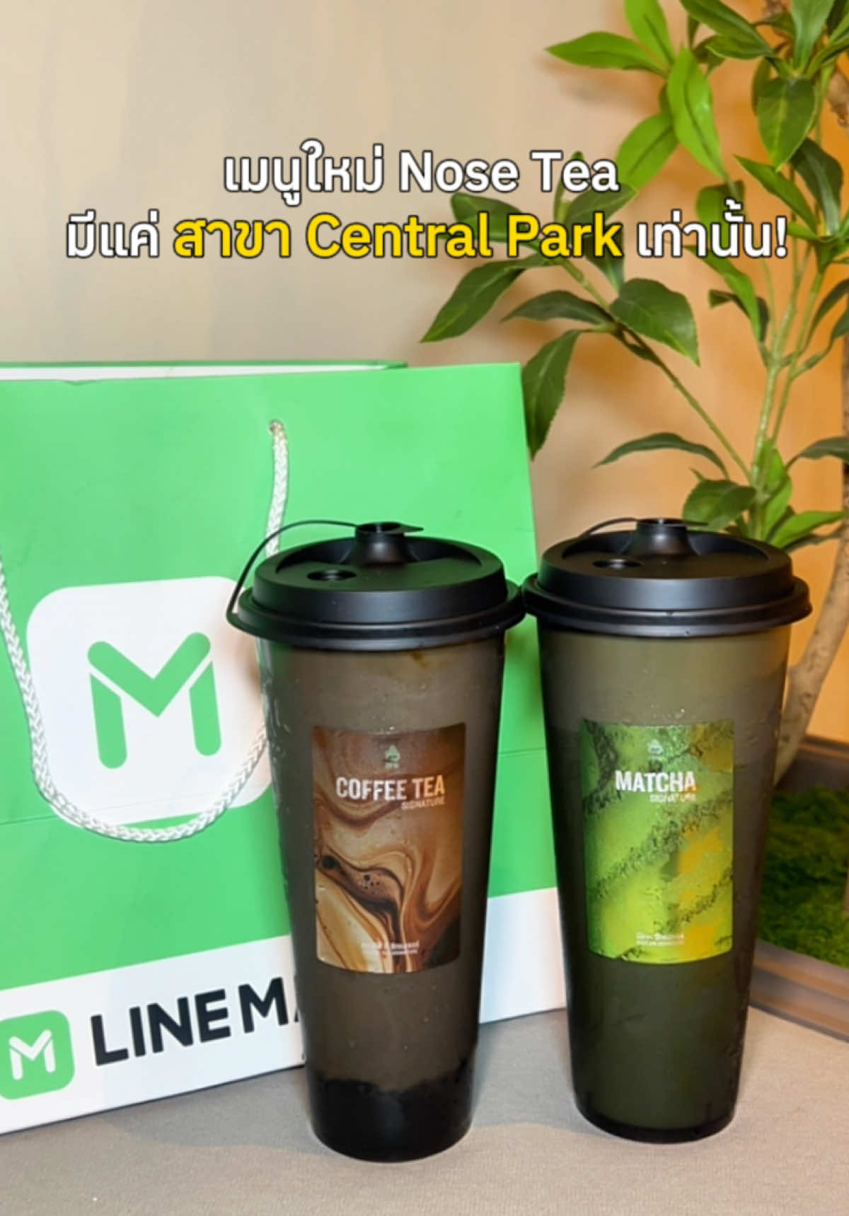 💚 สองเมนูใหม่ ของ Nose tea สั่งผ่าน LINE MAN ONLY ที่สาขา Central Park  ได้แล้วน้า🤤✨ #LINEMAN #LINEMANONLY #Nosetea #CentralPark   #เมนูใหม่  