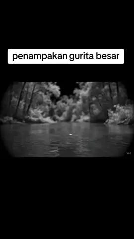 penampakan gurita siluman #penampakan #horror #fyppppppppppppppppppppppp 