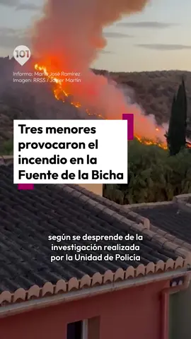 👦🔥Tres menores provocaron el incendio en la Fuente de la Bicha 📲Más información en 101tv.es #Granada #incendioforestal #FuentedelaBicha #investigación