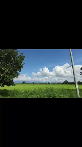 #🤍🤍🤍 
