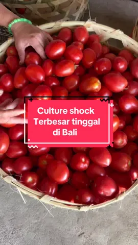 #bali #kintamani #balidenpasar #cultureshock #cultureshockbali 