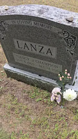 Like leaves in twilight, drifting softly through the breeze, beauty curls to sleep. #nancylanza #tcc 