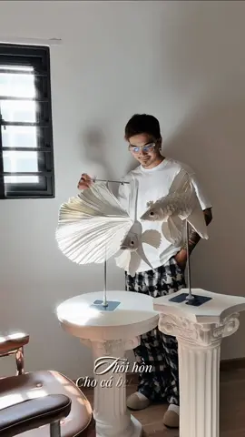 Làm cá Betta bằng giấy có khó không ? Dễ nha 😁😁 , kiên trì chút là được 😊 . Theo bạn lên màu gì cho đẹp đây 😁#decoration #handmade #mohinh #papercut #trangtri 