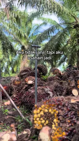 Doain saja nona😌😇#fyp #fypage #fouryou #fypシ゚ #fypシ゚viral #fypdongggggggg #sawit #kulisawit #petanimudasukses 