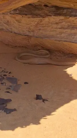 #ليبيا الجنوب 