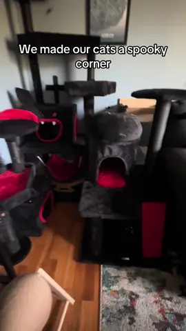 #yitahome #catsoftiktok #halloween 