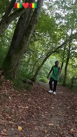 aramadifofanaguinea forestier macenta 🇬🇳🇬🇳🇬🇳🇬🇳❤️❤️❤️🇬🇳#MyLIVEJourney 
